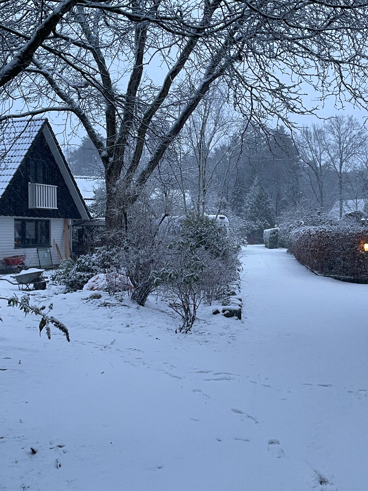 Winter in Winterswijk