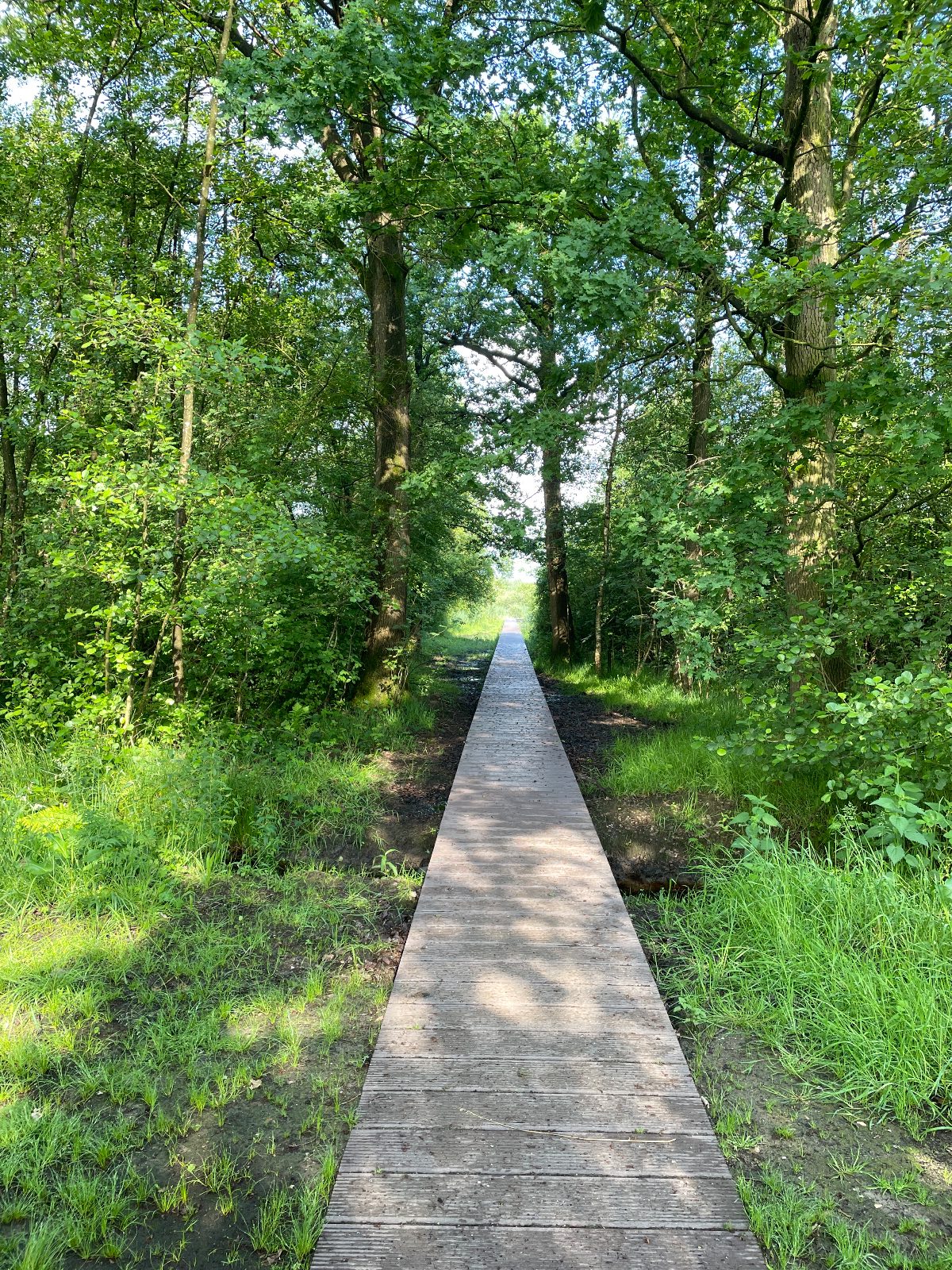 Het landschap om de hoek